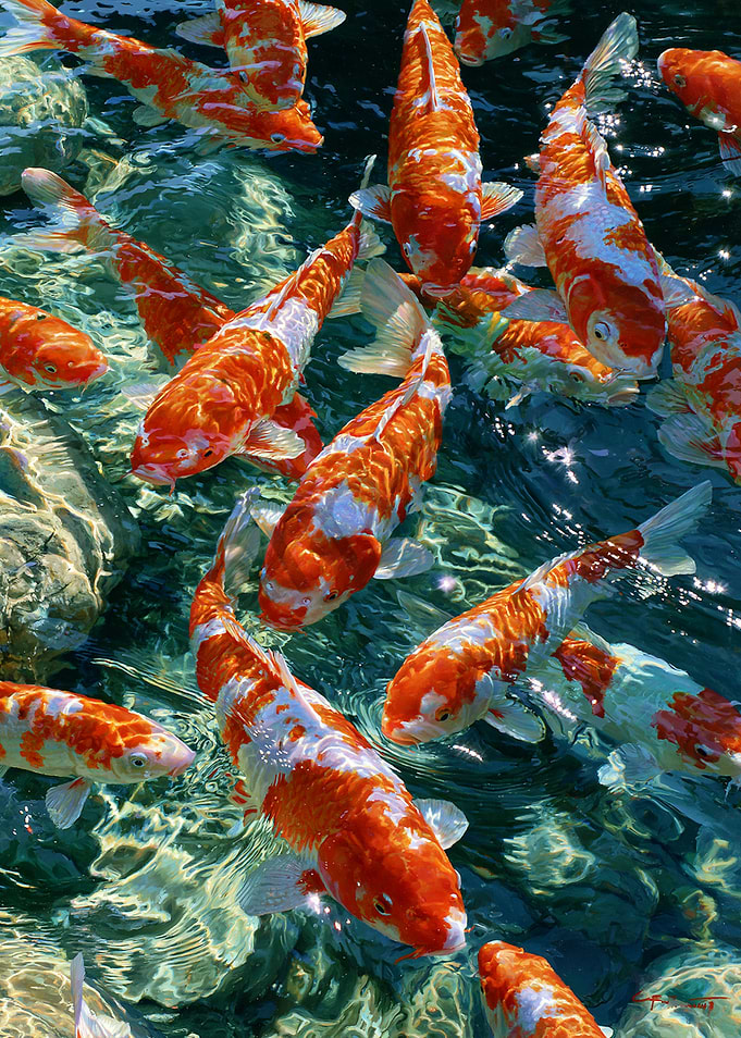 Vibrant Koi Fish Swimming in Clear Water