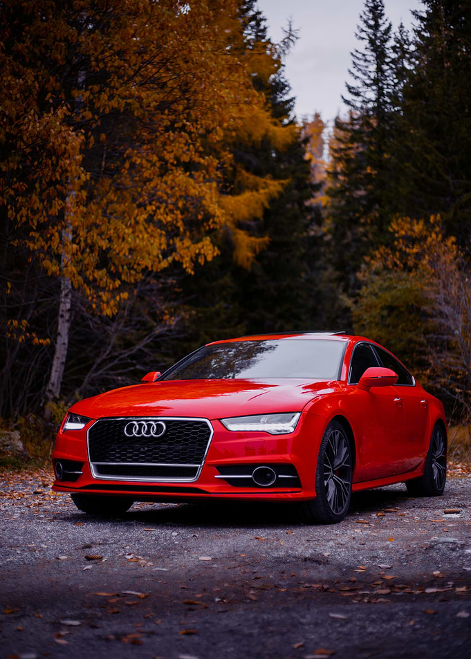 Red Audi in Autumn Forest