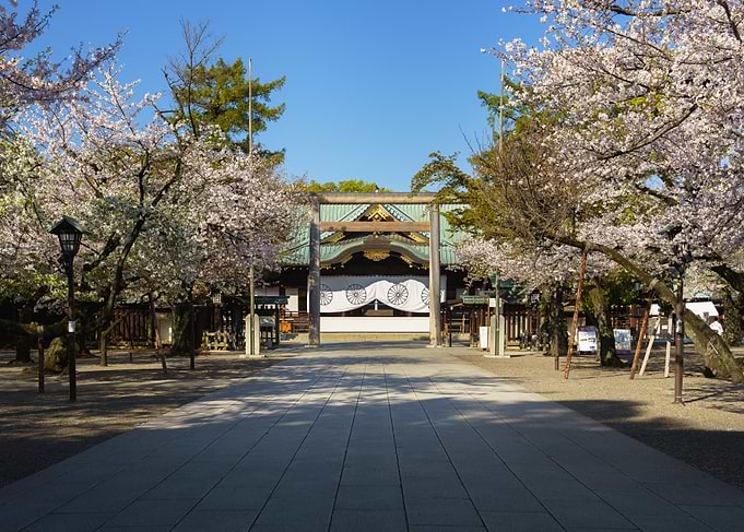 Cherry Blossoms at Japanese Yasukuni Shrine Entrance