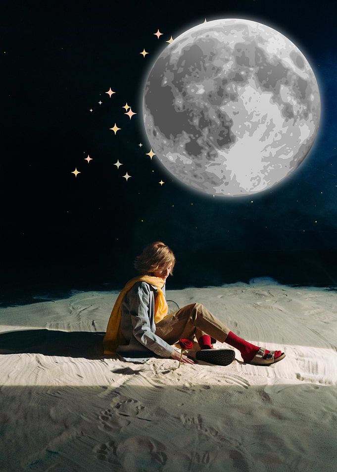 The Little Prince on the Moon