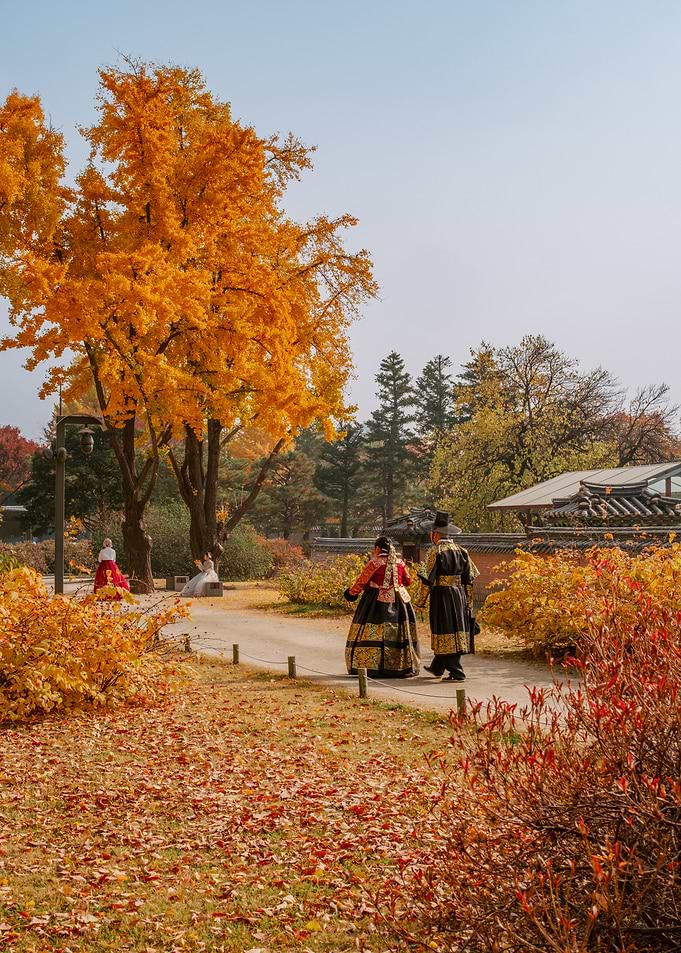 Couple in Traditional Korean Hanbok in Autumn