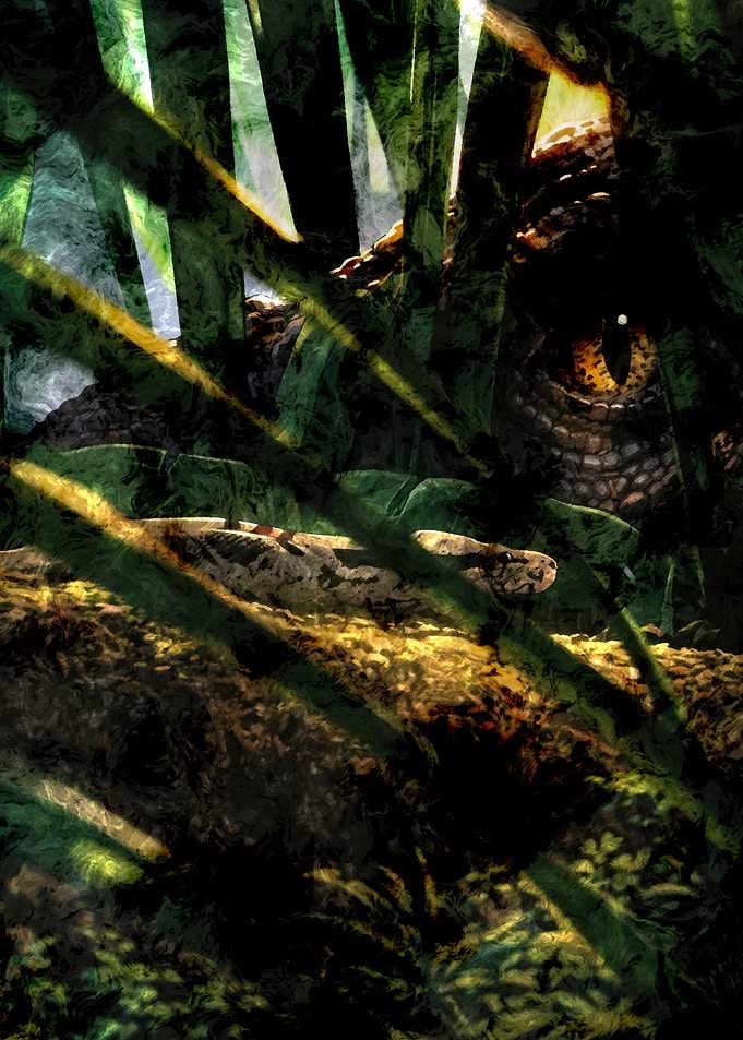 Predator and Prey in Jungle