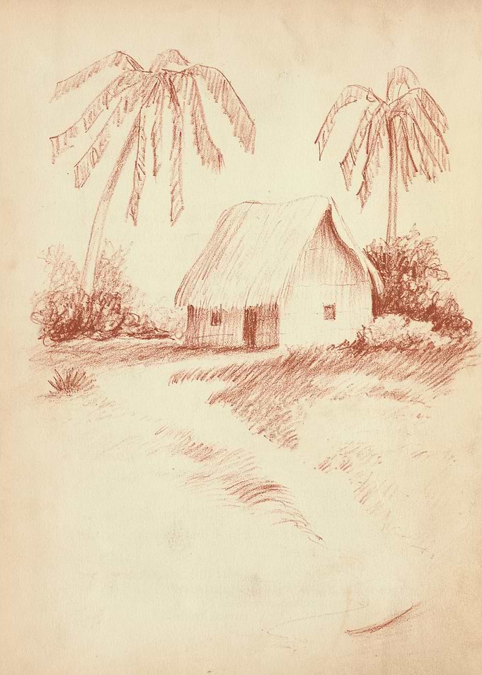 Tropical Hut and Palm Trees Sketch