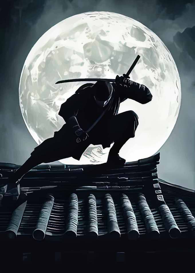 Ninja on a Rooftop Under the Moon