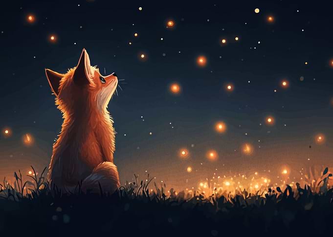 Fox Looking at Stars