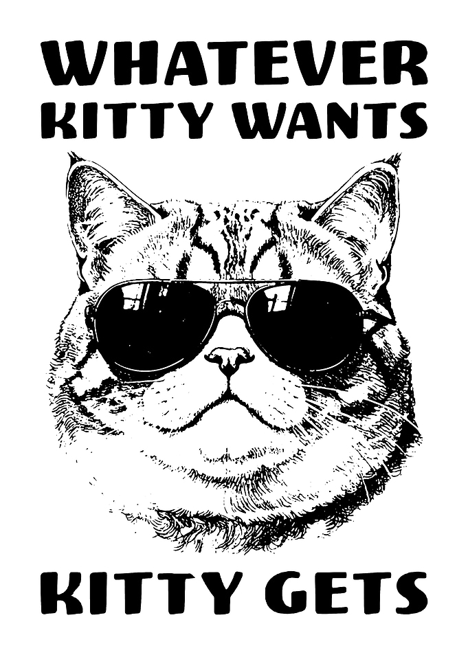 Funny Cat with Sunglasses Text Art