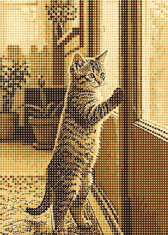 Kitten looking out a window