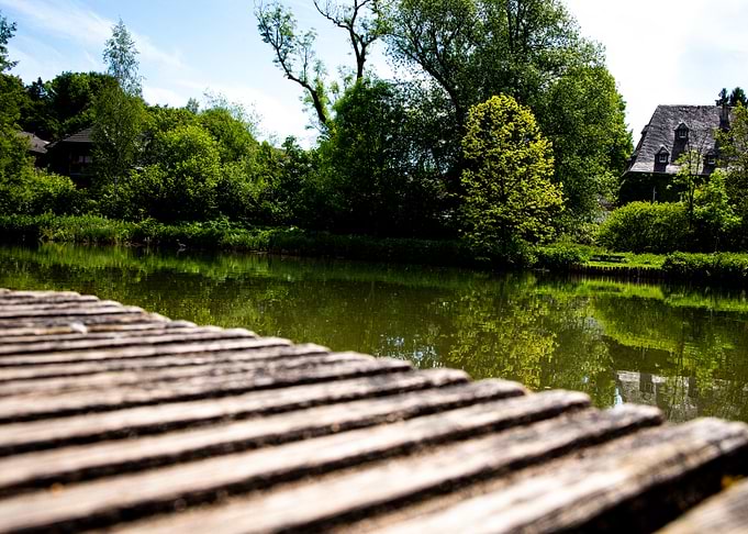 Wooden pier overlooking a tranquil lake