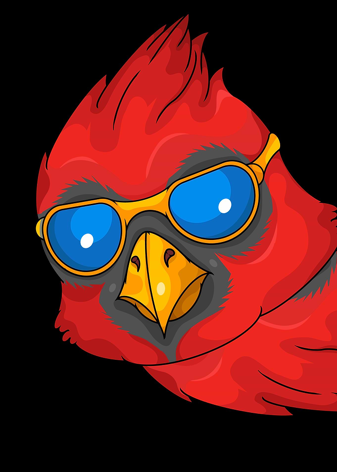 Northern Cardinal Bird Lover Men Bird Watching Cardinal
