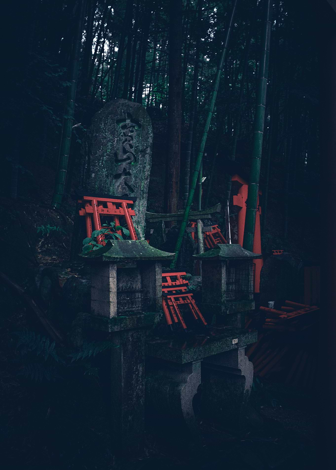 Japanese Torii Gates