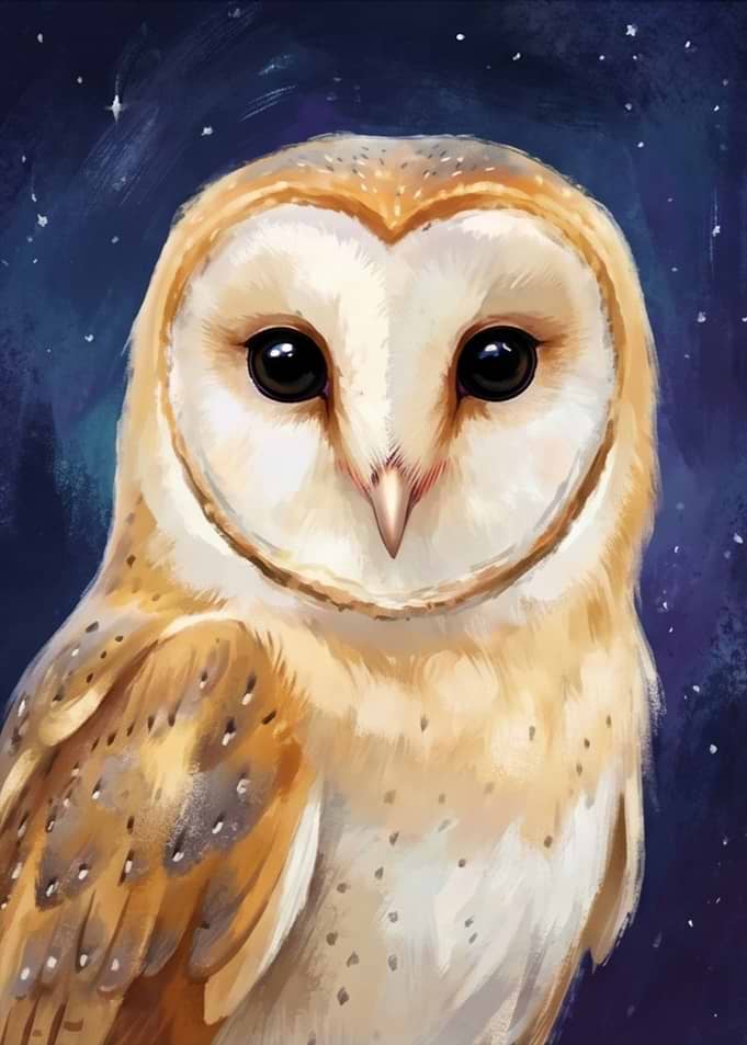 Barn Owl in a Starry Night Sky