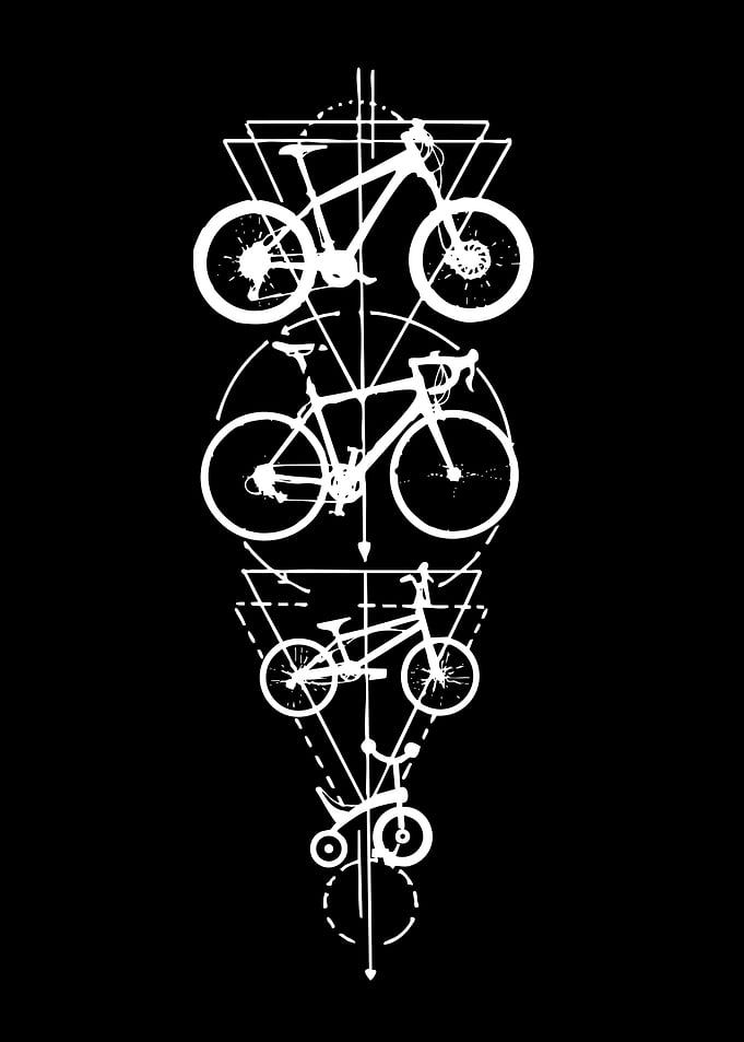 Geometric Bicycle Evolution
