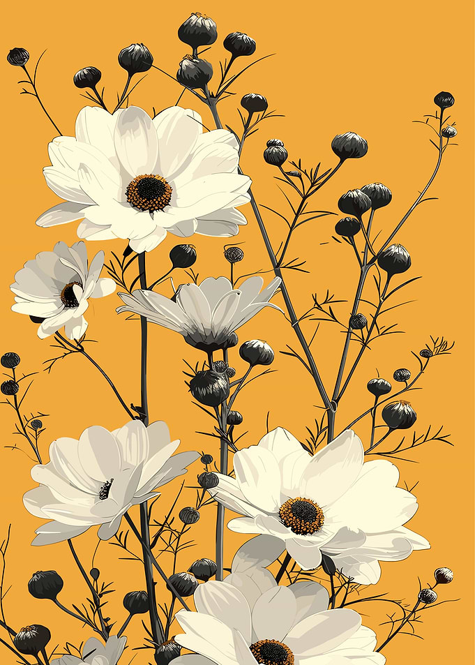 White Cosmos Flowers on Orange Background
