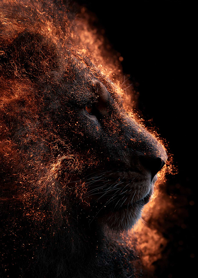 Lion made of fire and embers