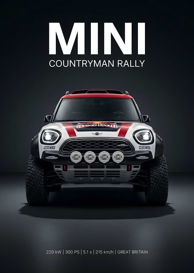 Mini Countryman Rally Car
