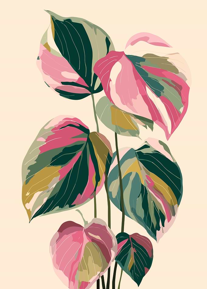 Variegated Philodendron Leaves