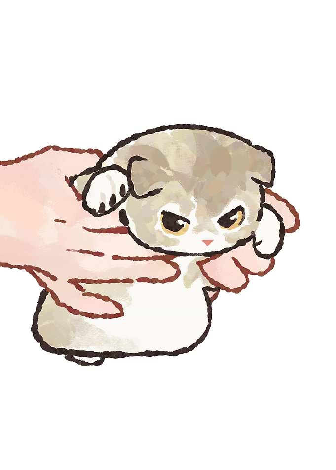 Cute Kitten Held in Hands