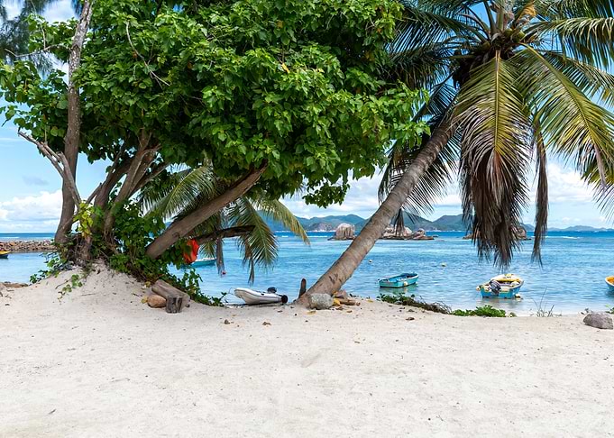 Tropical Beach with Palm Trees and Boats