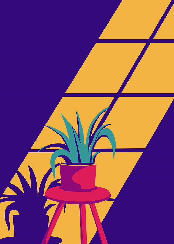 Potted Plant in Sunlight