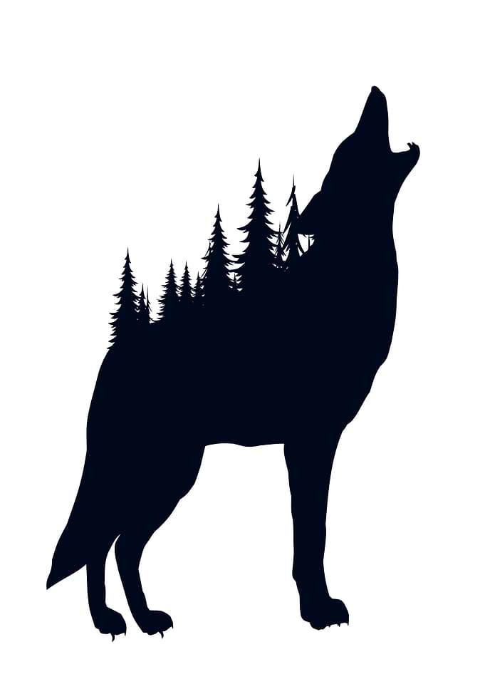 Wolf howling with forest silhouette
