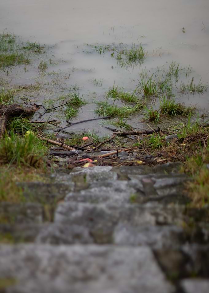Flooded stone steps by a muddy shore