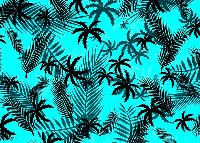 Tropical Palm Leaves Pattern