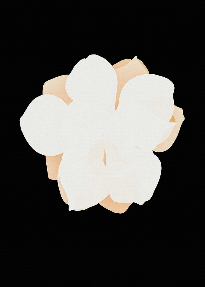 Magnolia Minimalist movie
