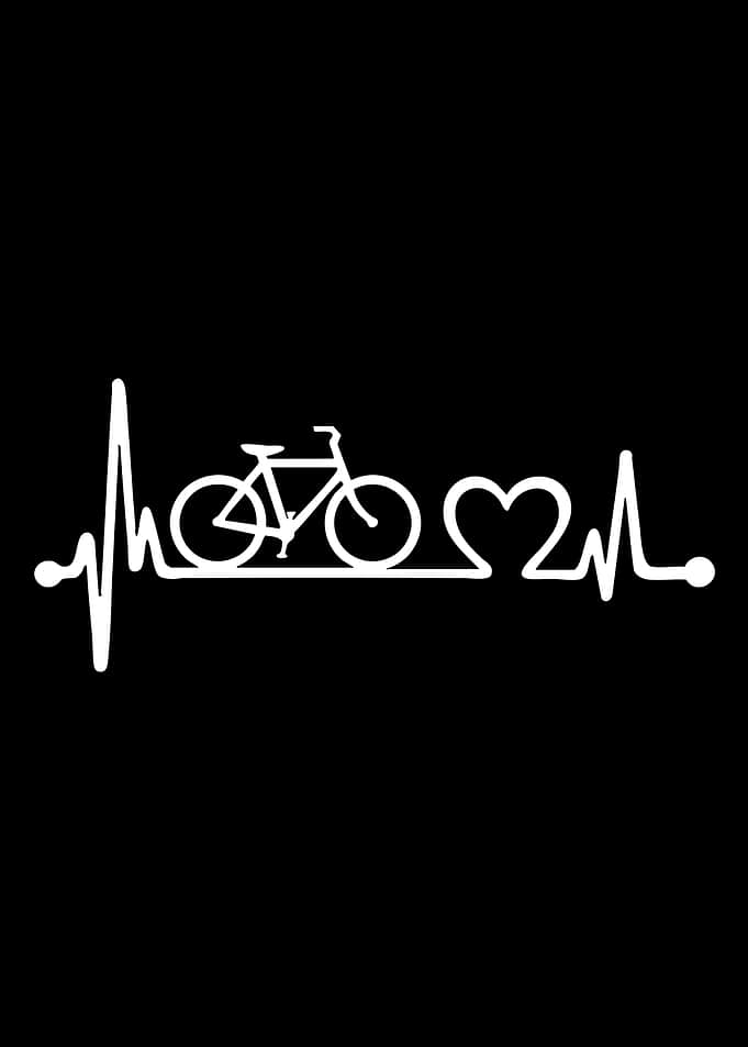 Bicycle Heartbeat EKG
