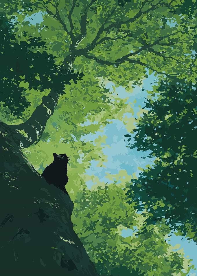 Black cat in a lush green forest