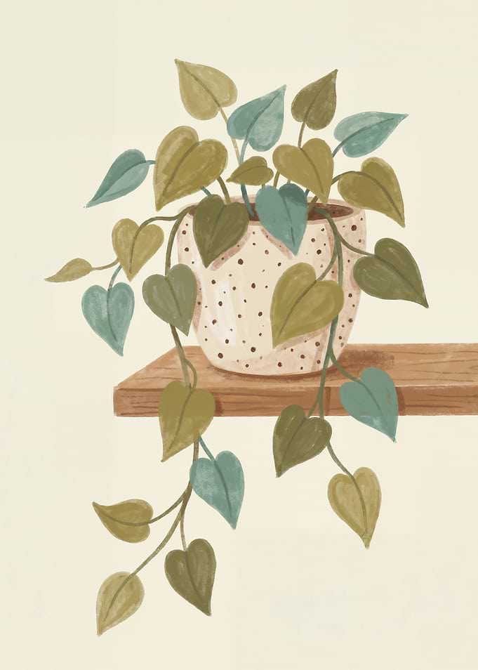 Potted Plant on a Shelf