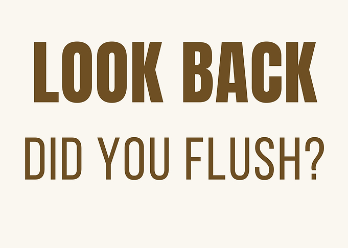 Look Back Did You Flush? Flush The Toilet Rules
