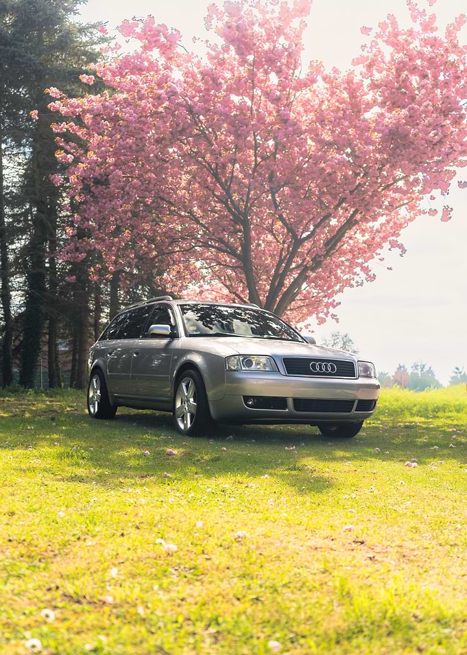 Silver Audi A6c5 Avant Under Cherry Blossoms
