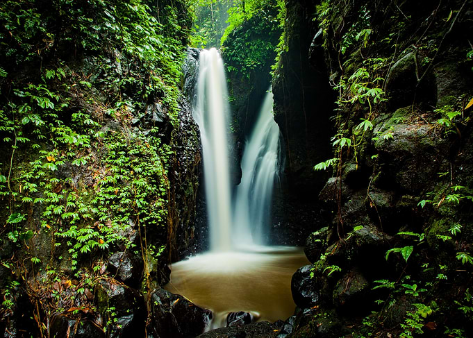 Lush Waterfall in a Tropical Forest