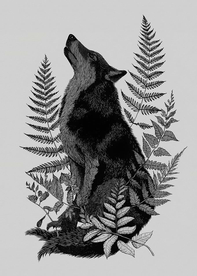 Wolf Howling Among Ferns