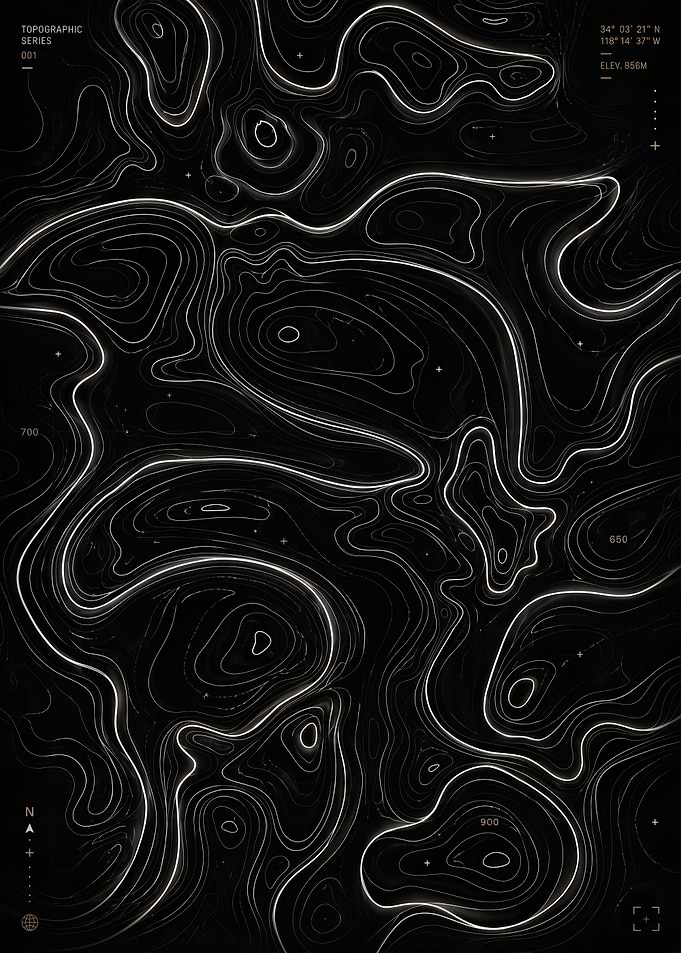 Topographic Map Art