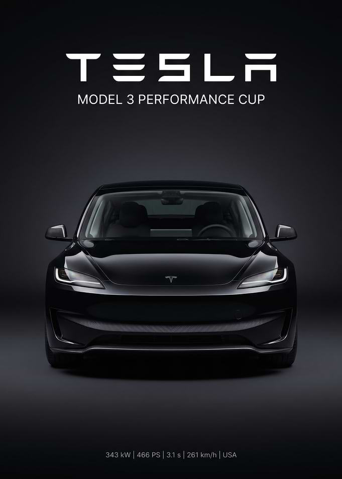 Tesla Model 3 Performance Cup