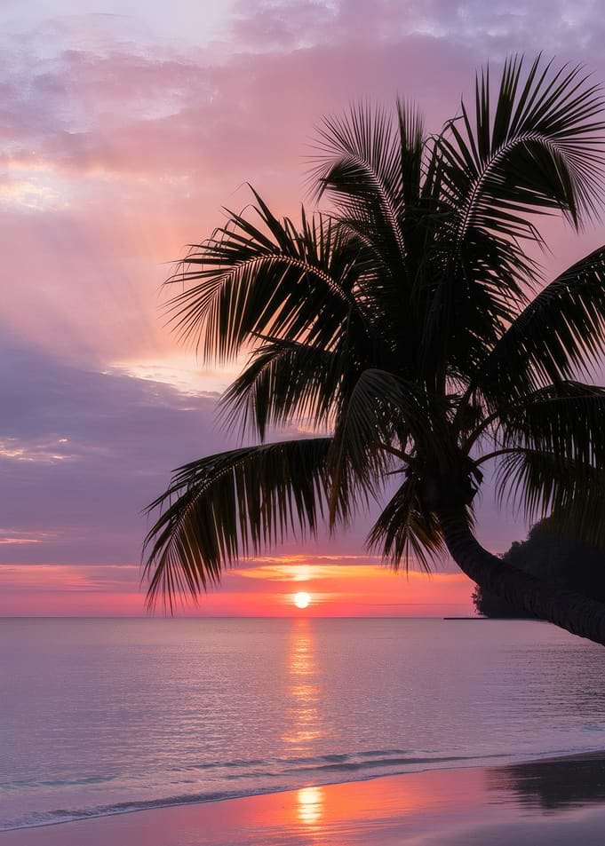 Palm at Sunset – Golden Light on a Tropical Shore