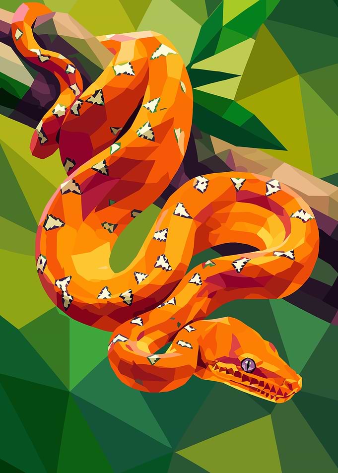 Orange Python on a Branch