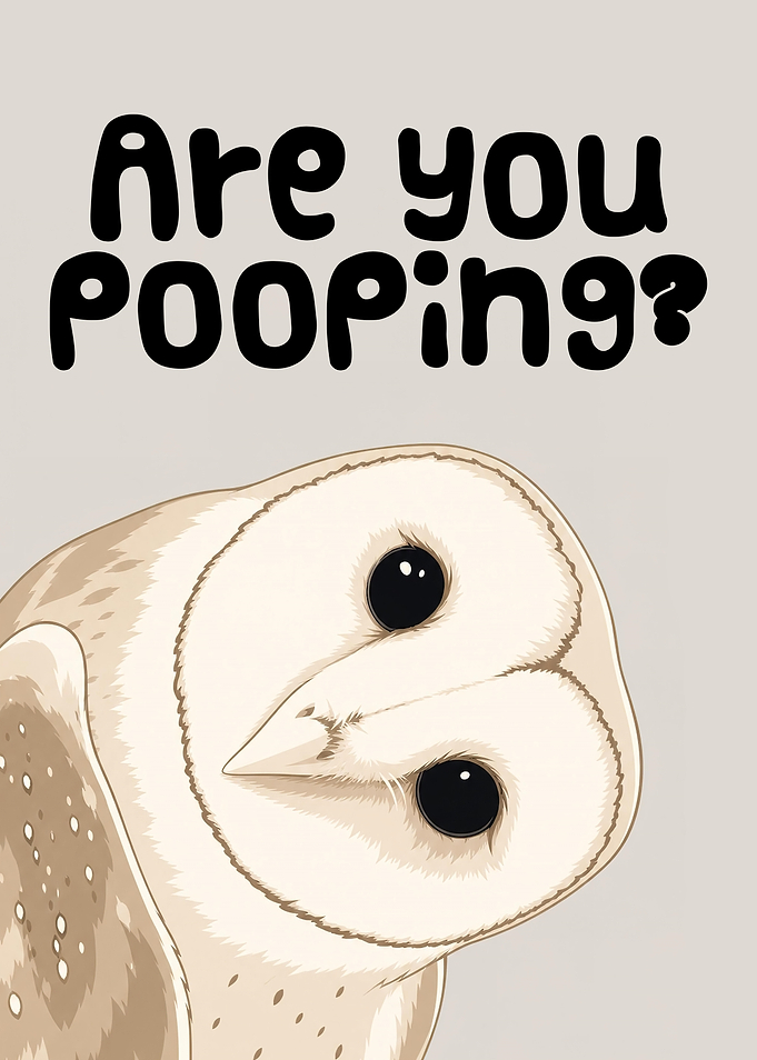 Owl asking 'Are you pooping?'