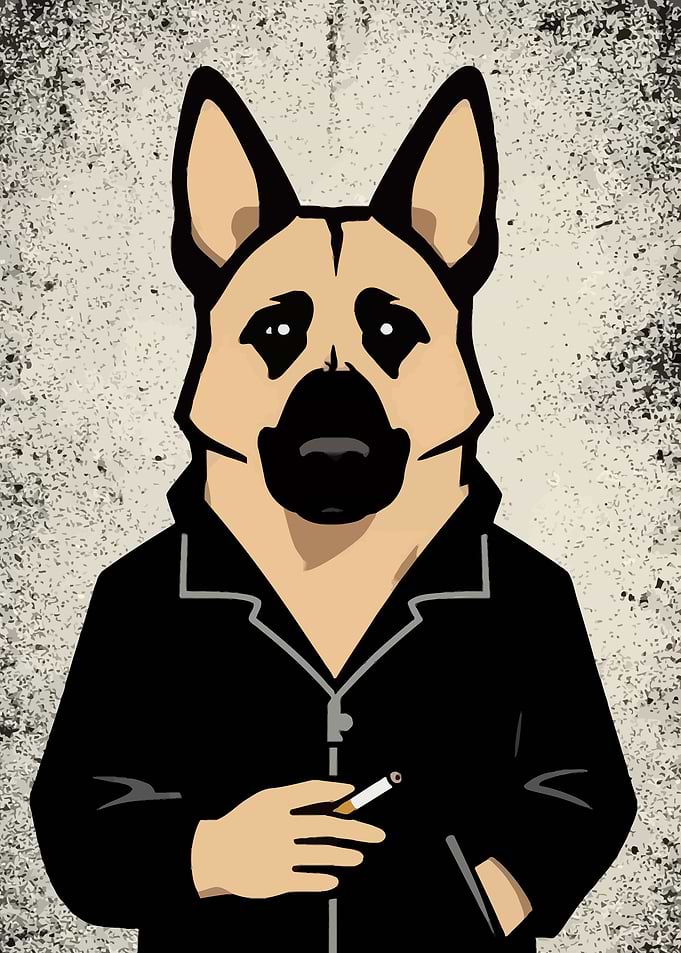 German Shepherd in a Black Jacket Smoking