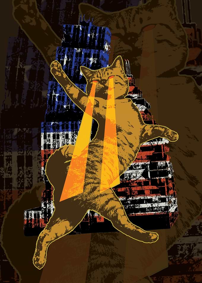 USA Laser Cat Vintage Poster