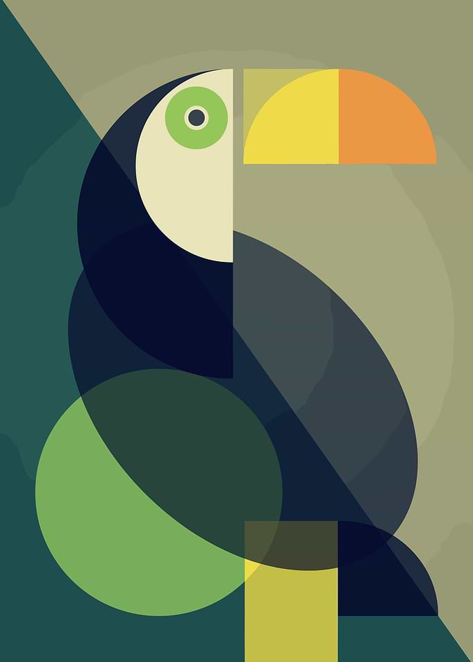 Geometric Toucan Illustration