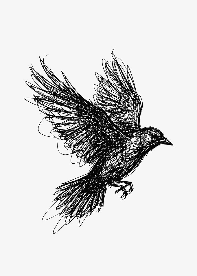Scribble Art Bird in Flight