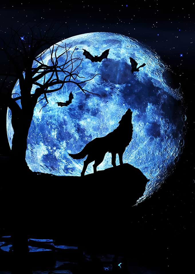 Wolf howling at the moon