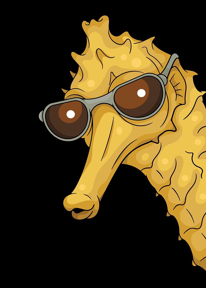 Cool Seahorse With Sunglasses Kids Underwater Seahorse