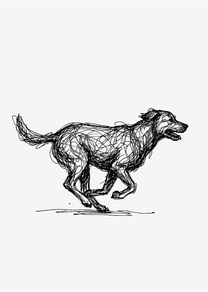 Sketch of a running dog
