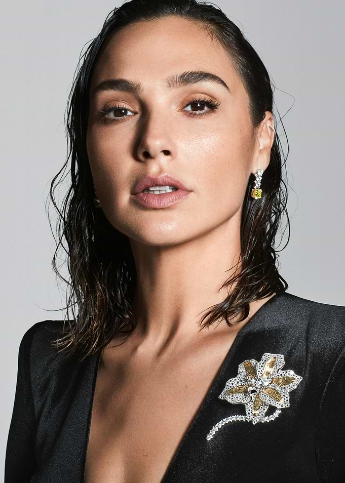 Gal Gadot in Black Dress with Brooch