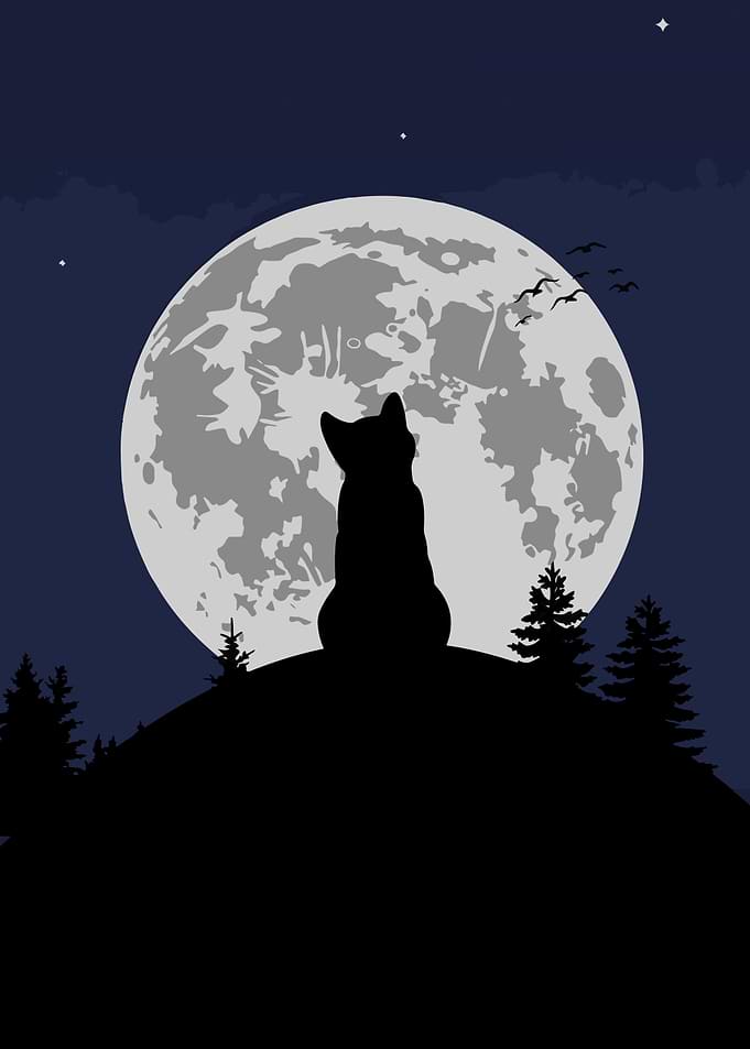 Wolf howling at the moon
