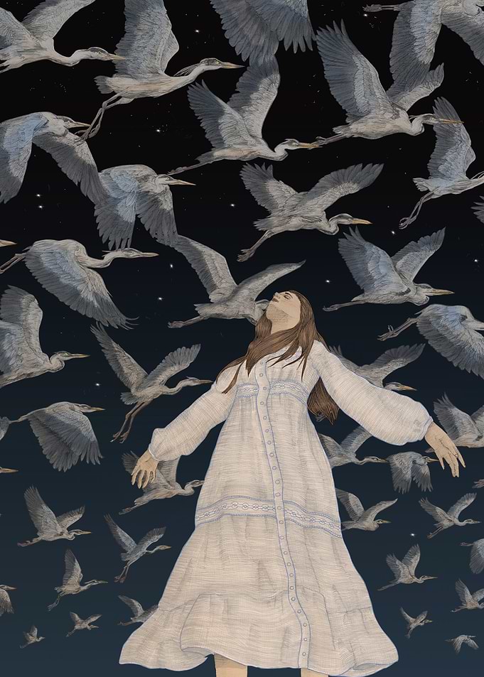Fly Away Herons Night