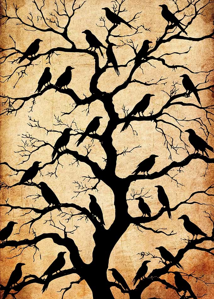 Silhouette of Crows on a Tree